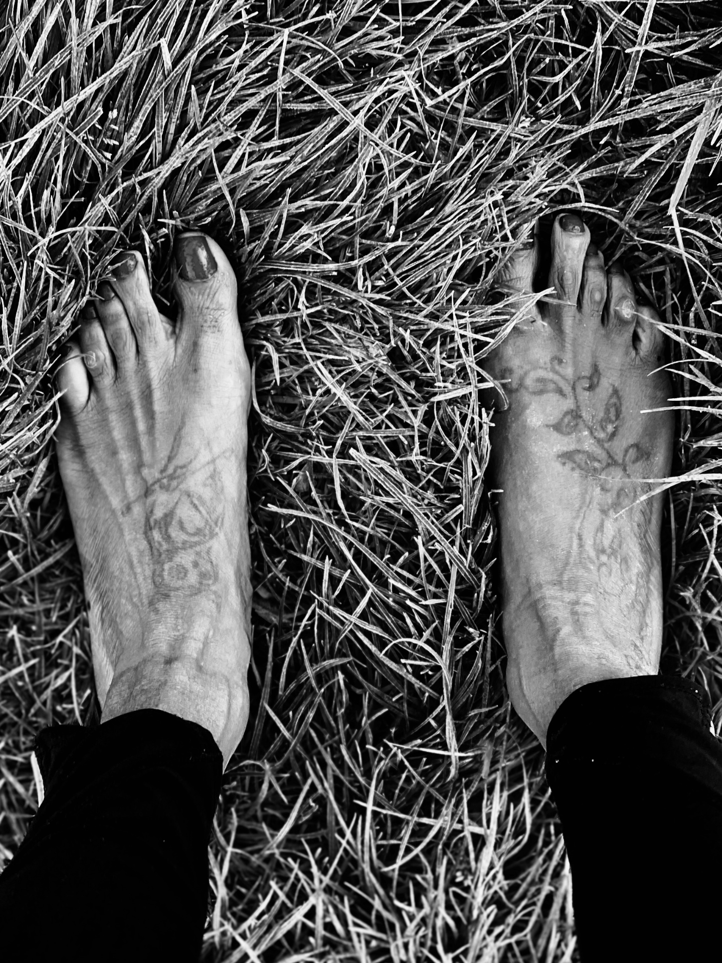 Grass — black and white photograph by Ada Parris