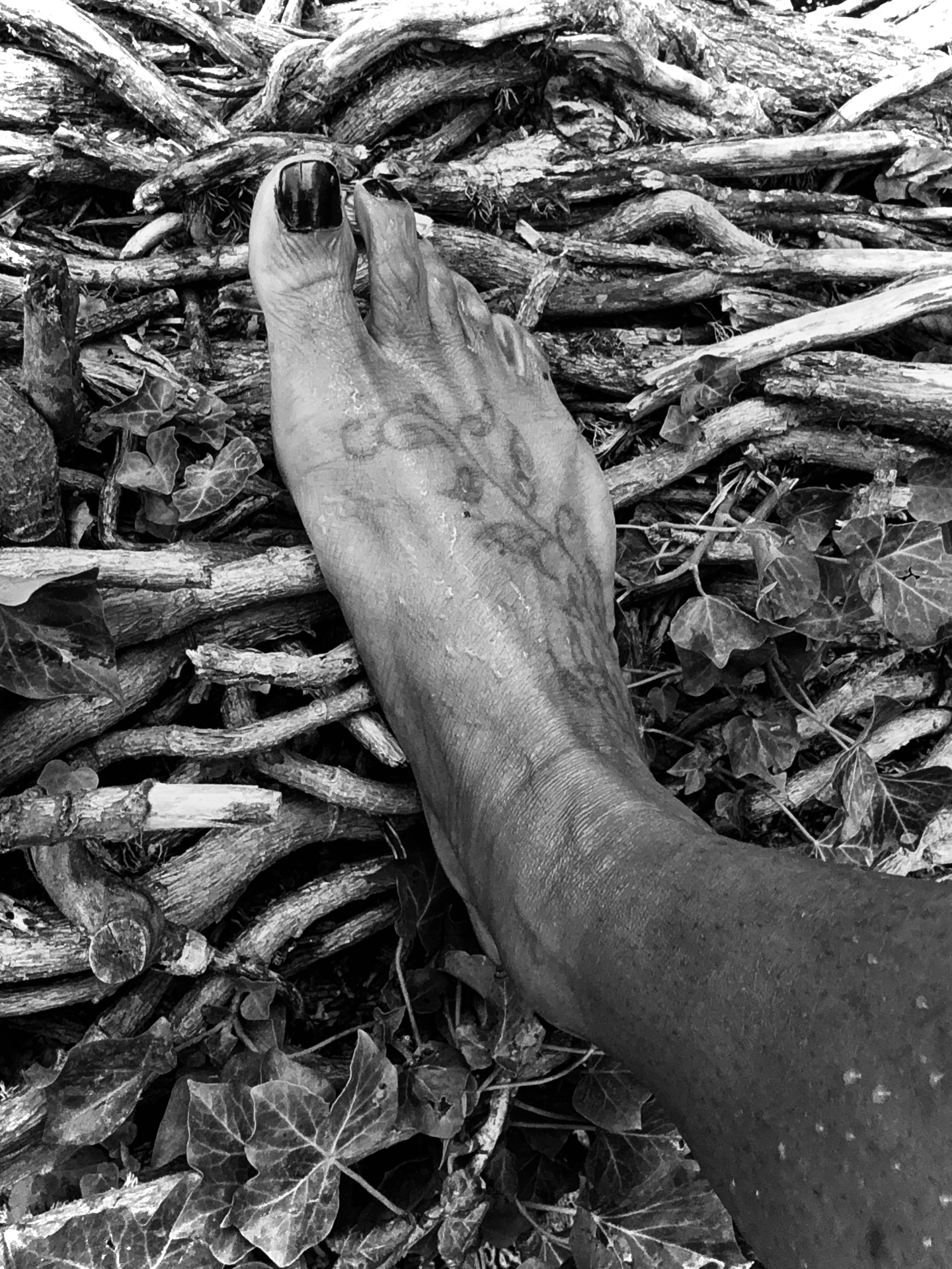 Driftwood — black and white photograph by Ada Parris